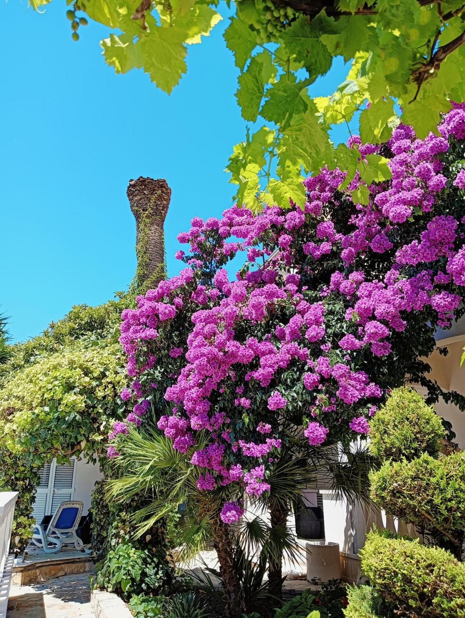 Villa Aspalathos Kaštela Zewnętrze zdjęcie